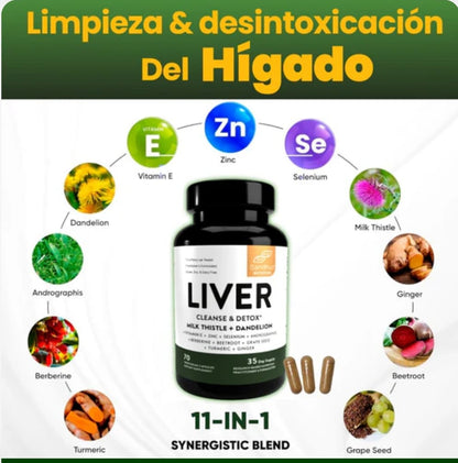 LIVER- DETOX 70 CAP "ARCSA"