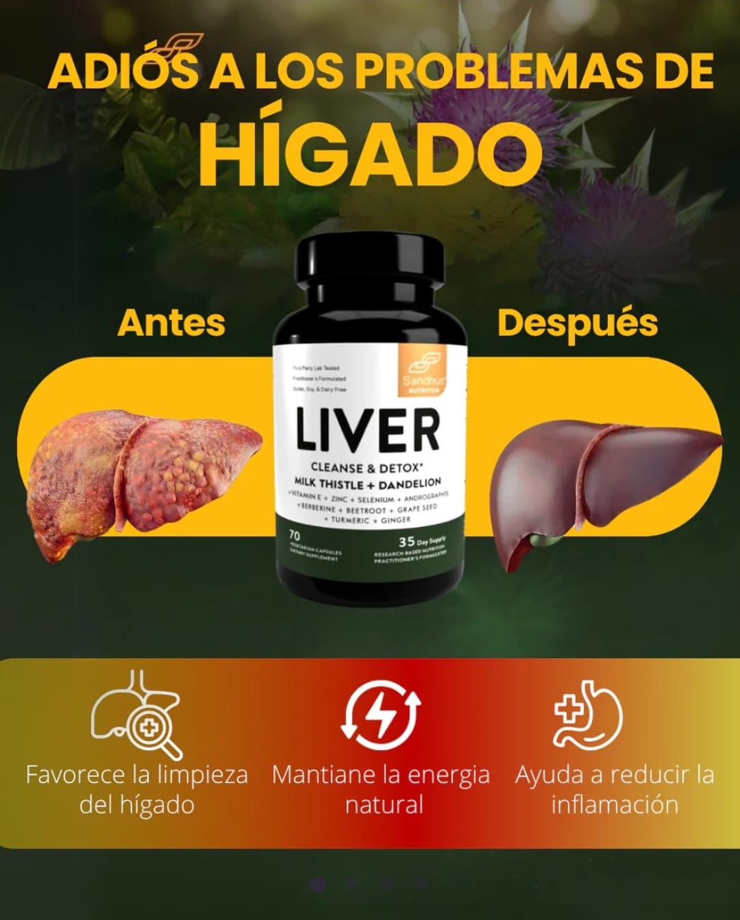 LIVER- DETOX 70 CAP "ARCSA"